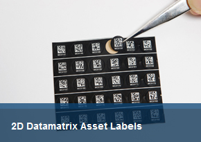 2D Datamatrix Asset Labels 